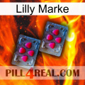Lilly Brand 14